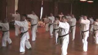 Hayashi-ha shito-ryu Kihon