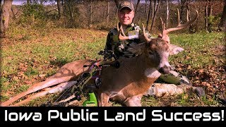 Mature Iowa Public Land Buck | Iowa Vlog 34