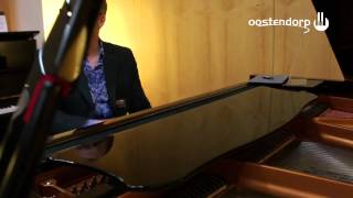 Bert Smorenburg legt ons de TransAcoustic Technology uit op de Frankfurter Musikmesse 2013