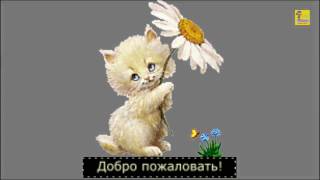 Самые красивые цветы