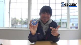 シーガーリーダーについて (泉 裕文)