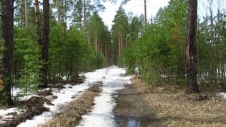 Весна в пос. Васильево район 774 км. и озера Топучка.