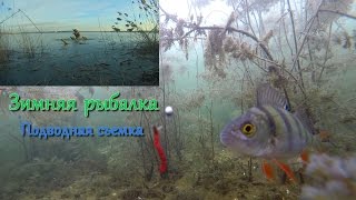 Зимняя рыбалка. Подводная съемка