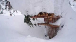 Гуманный капкан на промысле соболя. Hunting in Russia
