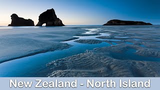 New Zealand: North Island - 12 Best Trips - 8168