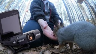 Муха не сидела на Canon legria mini (Обзор и тесты)