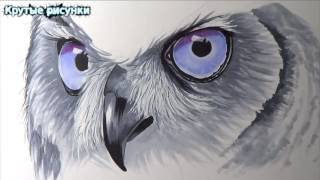 КРУТЫЕ РИСУНКИ КАК НАРИСОВАТЬ СОВУ