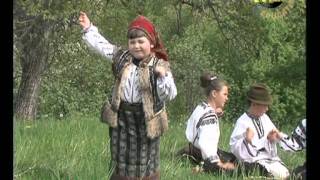MARIUTA MICUTARU - floricica din poiana