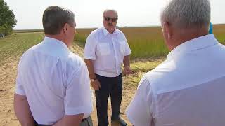 УБОРКА ЛЬНА