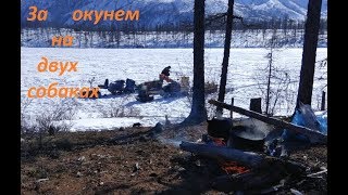 Рыбалка окуня  на мотособаках март 2019
