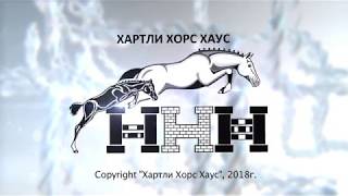 Осеменение кобылы