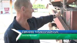 В исправительной колонии №109 началась жатва