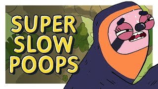 Sloths Risk Death When They Poop
