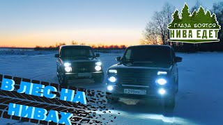 ПОЕЗДКА В  ЗИМНИЙ ЛЕС НА НИВАХ/ДО САМОГО ВЕЧЕРА