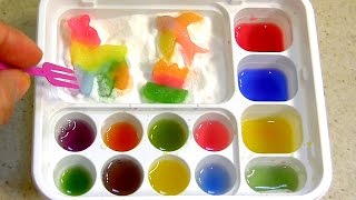 Popin' Cookin' DIY candy kit Maker Animals Gummy Land