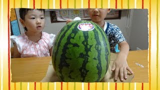 スイカを食べるせんもも Senmomo eat Watermelon
