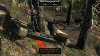 The Hunter Classic 2019 Какую винтовку покупать Новичкам? Обзор на винтовку