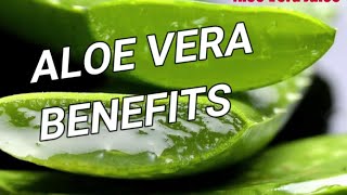 HEALTH BENEFITS OF ALOE VERA|aloevera homemade gel |#aloevera| Aloe Vera juice| HEALTHYDIET