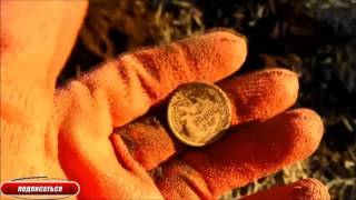 Коп в Оренбургской области приносит монеты.Minelab Safari