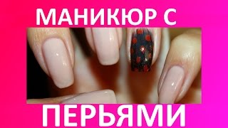 Дизайн ногтей с перьями nail art design
