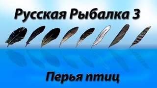 Русская Рыбалка 3.99 Перья