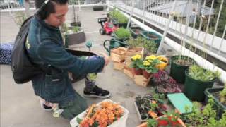 Guerilla Gardening / ゲリラ・ガーデニング with Vallicans & Harvester