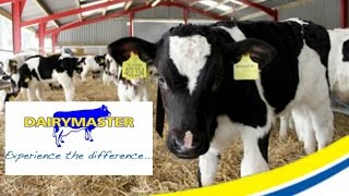 Dairymaster 3 station Automatic calf feeder