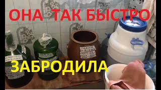 ЧТО Я СДЕЛАЛ МЕЗГА ЗАБРОДИЛА СРАЗУ