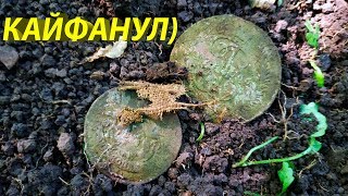 ☆ ОБНАРУЖИЛ В ЛЕСУ ЦАРСКИЕ ДЕНЬГИ! ЛУЧШИЙ КОП МОНЕТ 2019 КАЙФАНУЛ ПО ПОЛНОЙ)