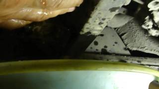Как слить тасол Форд Мондео, Ford Mondeo. Пробка слива антифриза в радиаторе? Обслуживание!