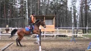 Конно-спортивный клуб  Сосновый Бор(тренировка)