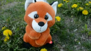 Лисенок повторюшка по имени Ирискин Fox hype man by the name of Irisskin