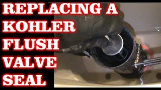 Replacing A Kohler Toilet Flush Valve Seal
