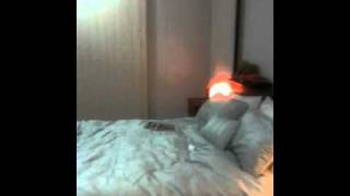 Rosebery Video 1