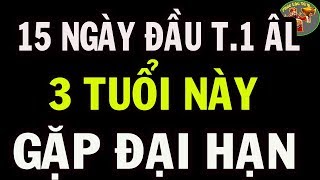 15 Ngày Đầu Tháng 1 ÂL, 3 Con Giáp ĐẠI HẠN, Vỡ Nợ , Đen Như Mực , Mất Sạch Tài Lộc