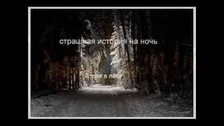 СТРАШНАЯ  ИСТОРИЯ  НА  НОЧЬ : страх в лесу