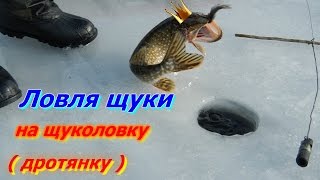Зимняя рыбалка.Ловля щуки на щуколовку ( дротянку )