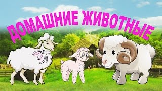 Мультик познавалка. Домашние животные для детей. Название и голоса домашних животных и их детенышей.