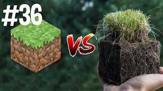 Minecraft vs Real Life 36