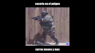 primer caceria 2020