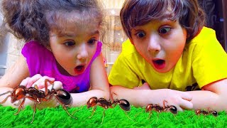 Камиль и Аминка Купили НЕОБЫЧНУЮ ВЕЩЬ! Для детей kids children