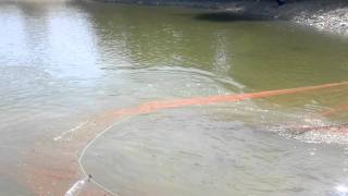 Balıq ovu / Fishing / рыбалка / Balık avı