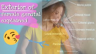 Female Vagina  | Explained