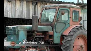 Викуловский район
