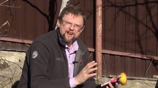 Идеальный способ посева моркови. Правила посадки роз. Посев бахчевых.