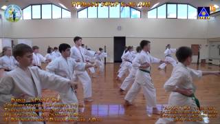 2 Средняя Б гр Архат До 12-15 лет кихон каратэ 16 04 2013 г