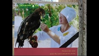 Какой должна быть скульптурная композиция, посвященная памятиОльге Даниловой?