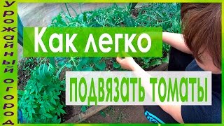 УДОБНАЯ ПОДВЯЗКА И ПАСЫНКОВАНИЕ ТОМАТОВ!ПЕРВЫЕ ШАГИ!