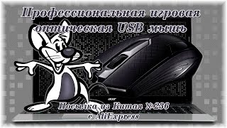 Профессиональная игровая оптическая USB мышь. Посылка из Китая №236