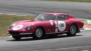 1966 Ferrari 275 GTB/C Incredible V12 Sound On Track